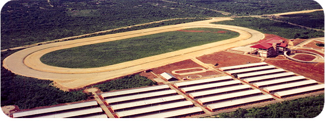 Track being built
